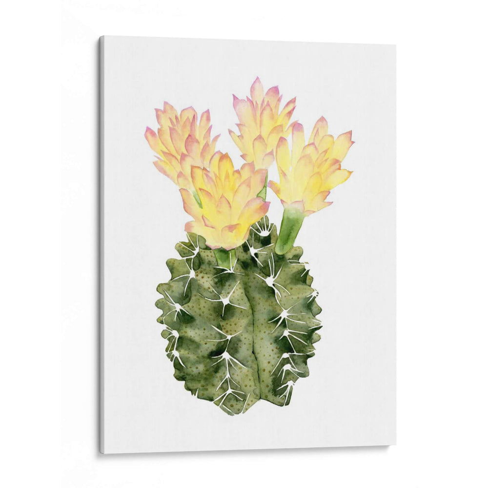 Ornamentale Ii - Grace Popp | Cuadro decorativo de Canvas Lab