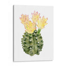 Ornamentale Ii - Grace Popp | Cuadro decorativo de Canvas Lab