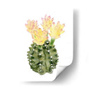 Ornamentale Ii - Grace Popp | Cuadro decorativo de Canvas Lab