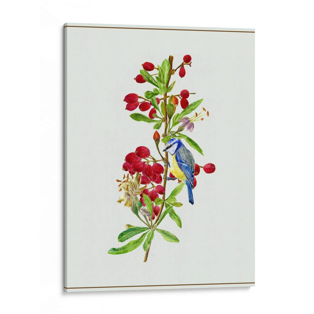 Lycium Barbarum I - Melissa Wang | Cuadro decorativo de Canvas Lab