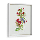 Lycium Barbarum I - Melissa Wang | Cuadro decorativo de Canvas Lab