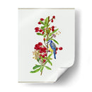 Lycium Barbarum I - Melissa Wang | Cuadro decorativo de Canvas Lab