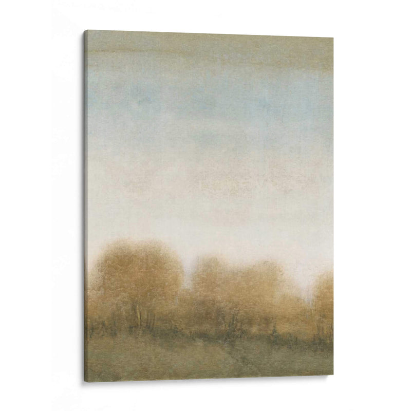 Golden Treeline Ii - Tim OToole | Cuadro decorativo de Canvas Lab