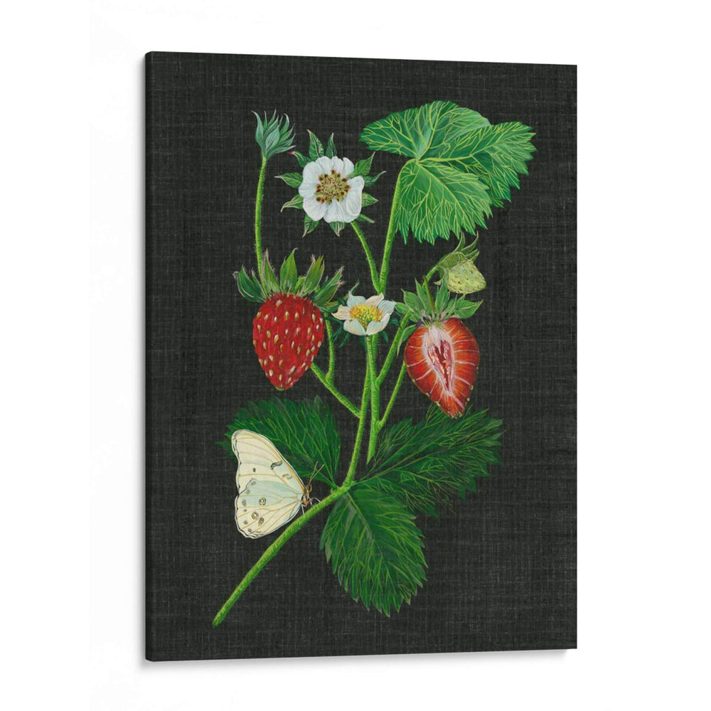 Campos De Fresa I - Melissa Wang | Cuadro decorativo de Canvas Lab