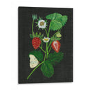 Campos De Fresa I - Melissa Wang | Cuadro decorativo de Canvas Lab