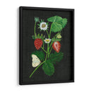 Campos De Fresa I - Melissa Wang | Cuadro decorativo de Canvas Lab