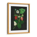 Campos De Fresa I - Melissa Wang | Cuadro decorativo de Canvas Lab