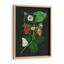 Campos De Fresa I - Melissa Wang | Cuadro decorativo de Canvas Lab