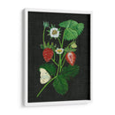 Campos De Fresa I - Melissa Wang | Cuadro decorativo de Canvas Lab