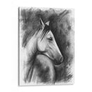 Retrato Ecuestre De Carbón - Naomi McCavitt | Cuadro decorativo de Canvas Lab