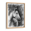 Retrato Ecuestre De Carbón - Naomi McCavitt | Cuadro decorativo de Canvas Lab