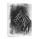 Retrato Ecuestre De Carbón Ii - Naomi McCavitt | Cuadro decorativo de Canvas Lab