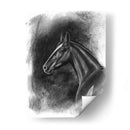 Retrato Ecuestre De Carbón Ii - Naomi McCavitt | Cuadro decorativo de Canvas Lab