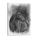 Retrato Ecuestre De Carbón Iii - Naomi McCavitt | Cuadro decorativo de Canvas Lab