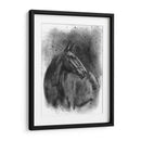 Retrato Ecuestre De Carbón Iii - Naomi McCavitt | Cuadro decorativo de Canvas Lab