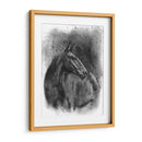 Retrato Ecuestre De Carbón Iii - Naomi McCavitt | Cuadro decorativo de Canvas Lab