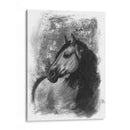 Retrato Ecuestre De Carbón Iv - Naomi McCavitt | Cuadro decorativo de Canvas Lab