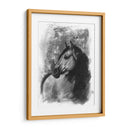 Retrato Ecuestre De Carbón Iv - Naomi McCavitt | Cuadro decorativo de Canvas Lab