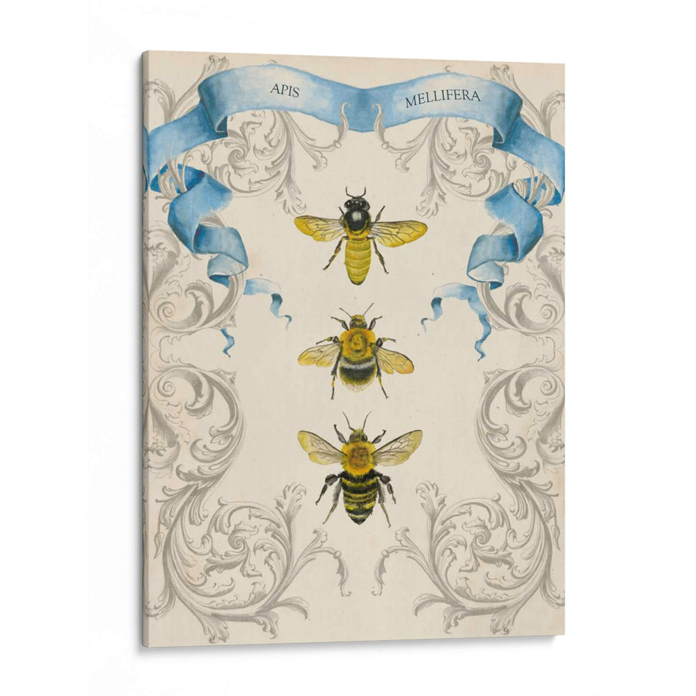 Abejas Y Filigrana Ii - Naomi McCavitt | Cuadro decorativo de Canvas Lab