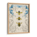 Abejas Y Filigrana Ii - Naomi McCavitt | Cuadro decorativo de Canvas Lab