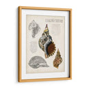Notas De Campo De La Concha - Naomi McCavitt | Cuadro decorativo de Canvas Lab