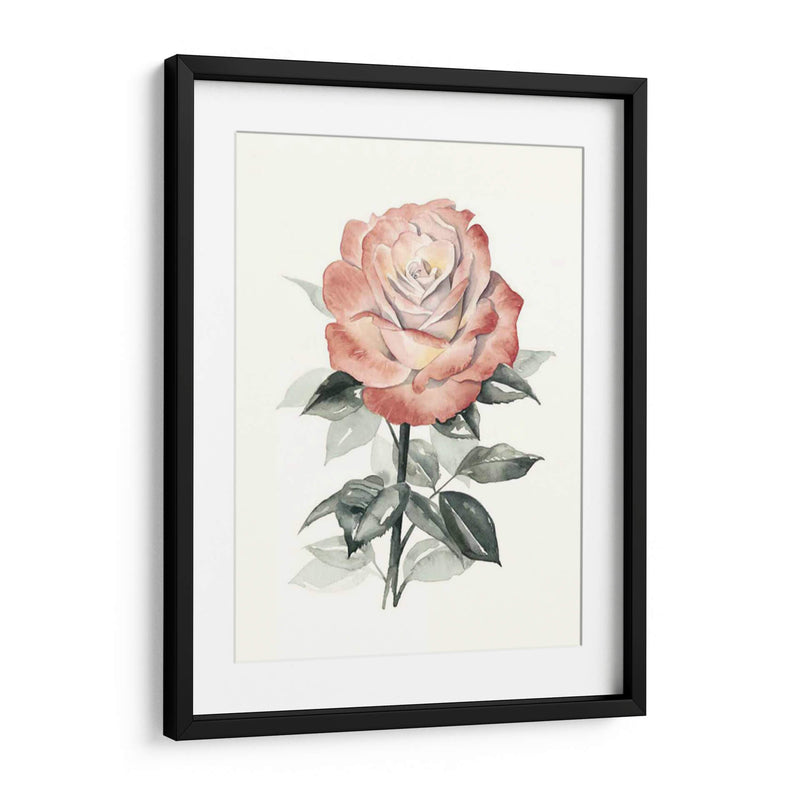 Beholden Rose I - Grace Popp | Cuadro decorativo de Canvas Lab