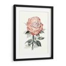 Beholden Rose I - Grace Popp | Cuadro decorativo de Canvas Lab