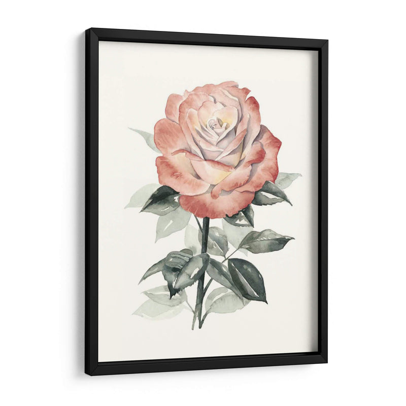 Beholden Rose I - Grace Popp | Cuadro decorativo de Canvas Lab