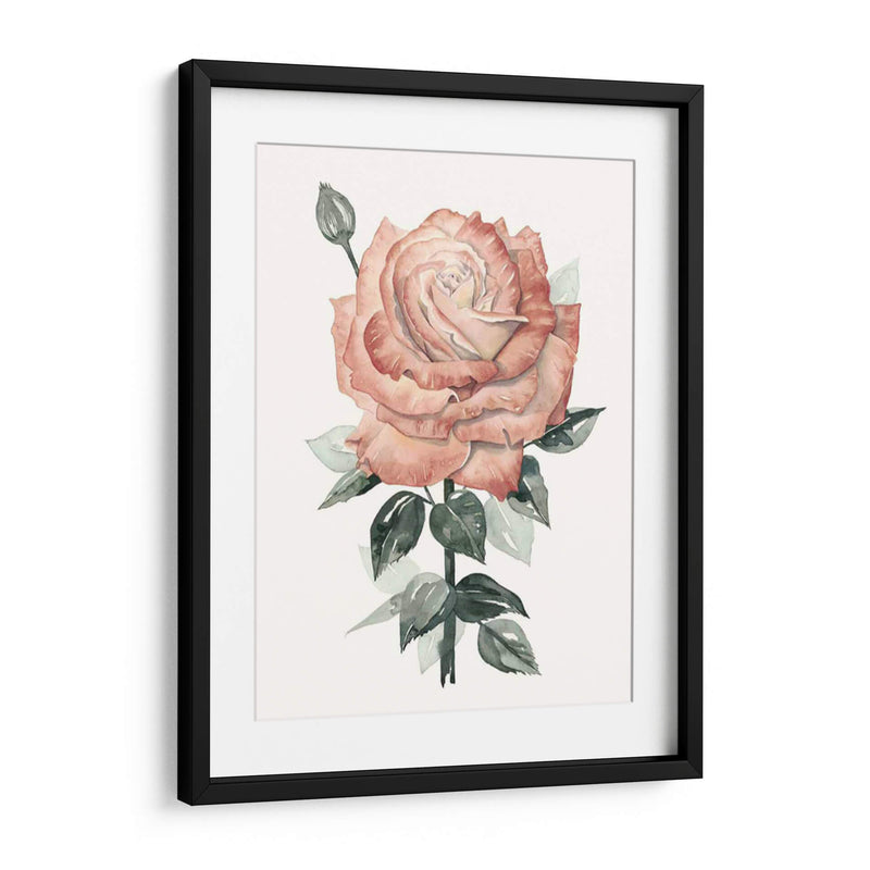 Beholden Rose Ii - Grace Popp | Cuadro decorativo de Canvas Lab