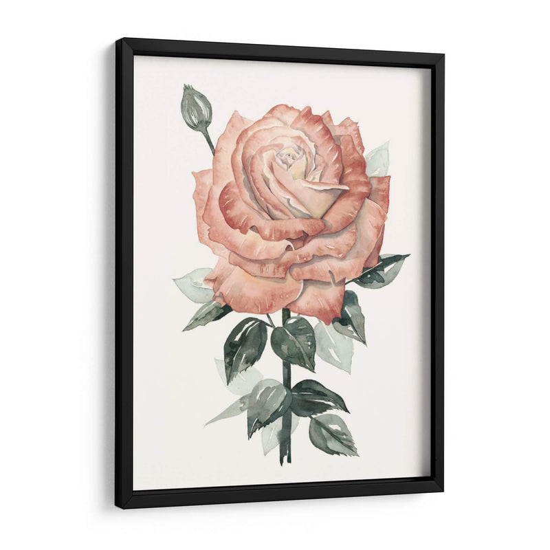 Beholden Rose Ii - Grace Popp | Cuadro decorativo de Canvas Lab