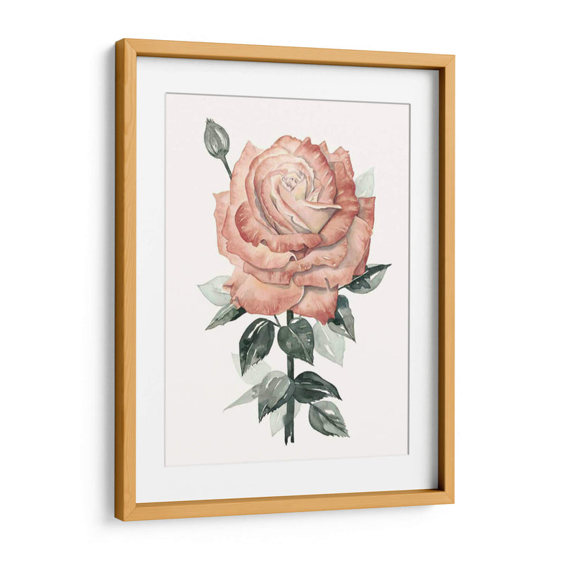 Beholden Rose Ii - Grace Popp | Cuadro decorativo de Canvas Lab