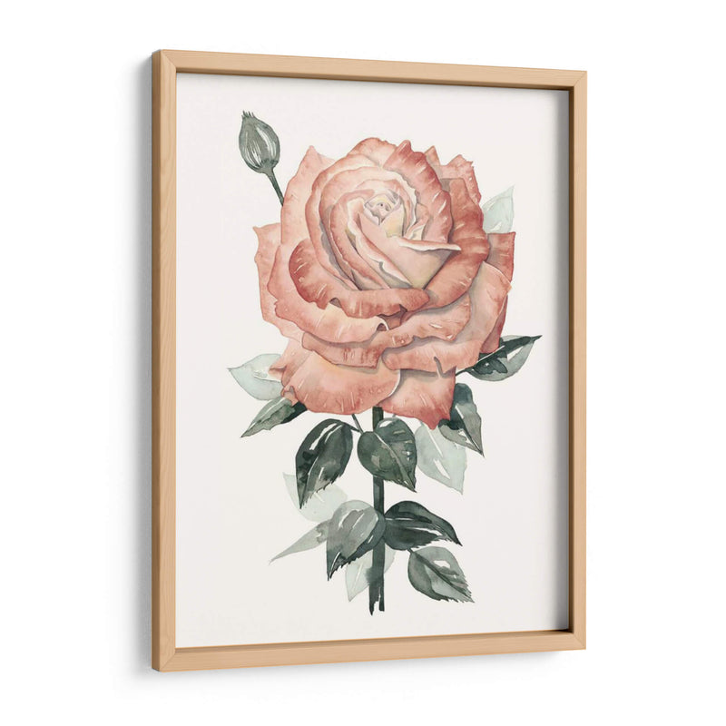 Beholden Rose Ii - Grace Popp | Cuadro decorativo de Canvas Lab