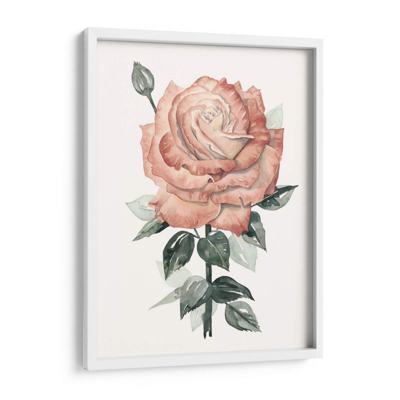 Beholden Rose Ii - Grace Popp | Cuadro decorativo de Canvas Lab