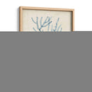 Especímenes De Algas Iii - Naomi McCavitt | Cuadro decorativo de Canvas Lab