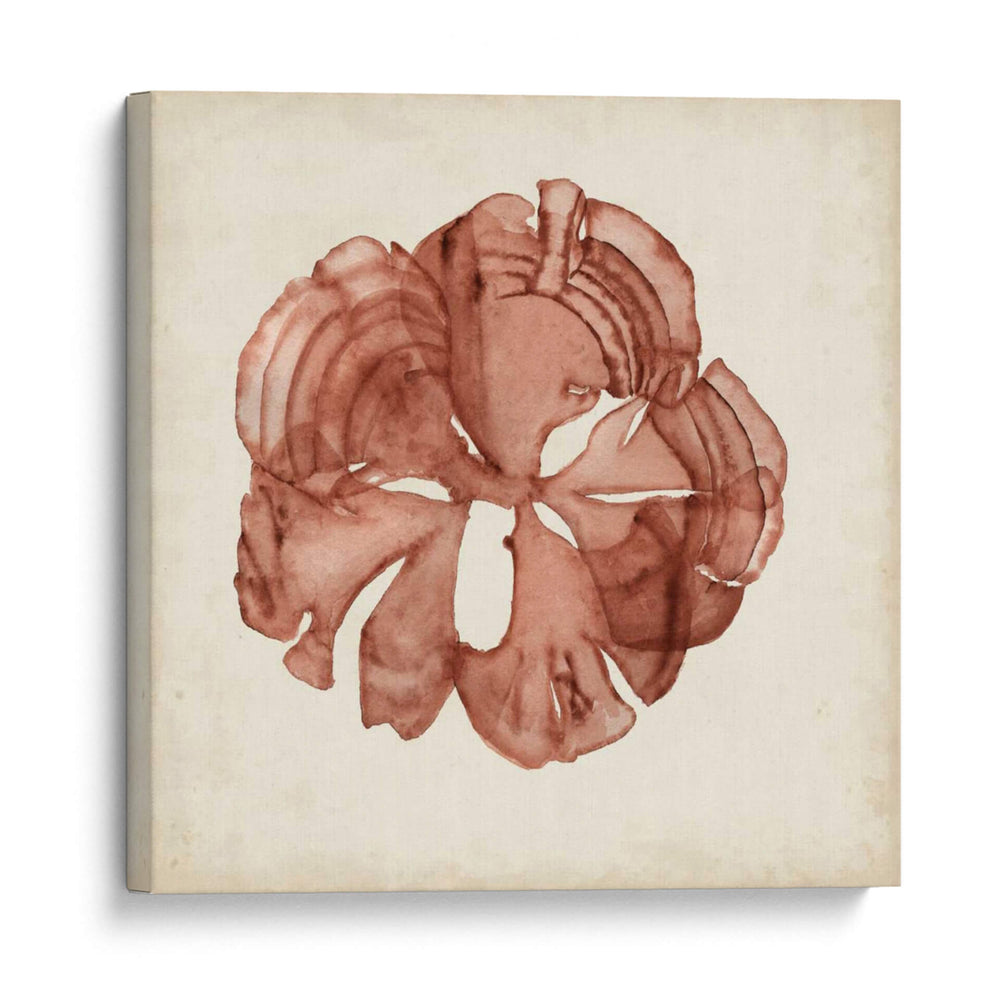 Especímenes De Algas Xiv - Naomi McCavitt | Cuadro decorativo de Canvas Lab