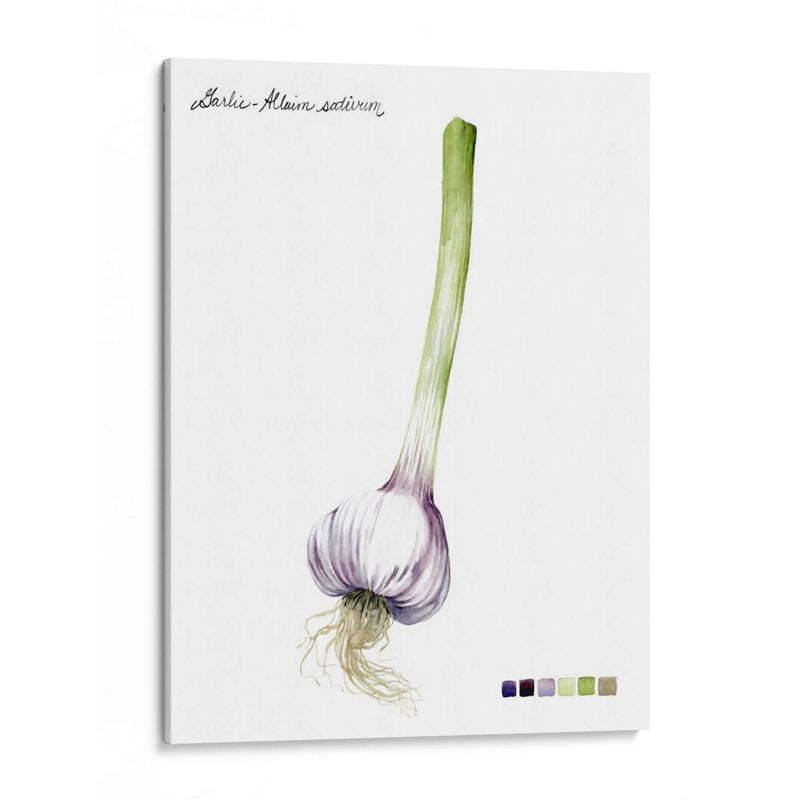 Vegetal Raíz I - Grace Popp | Cuadro decorativo de Canvas Lab