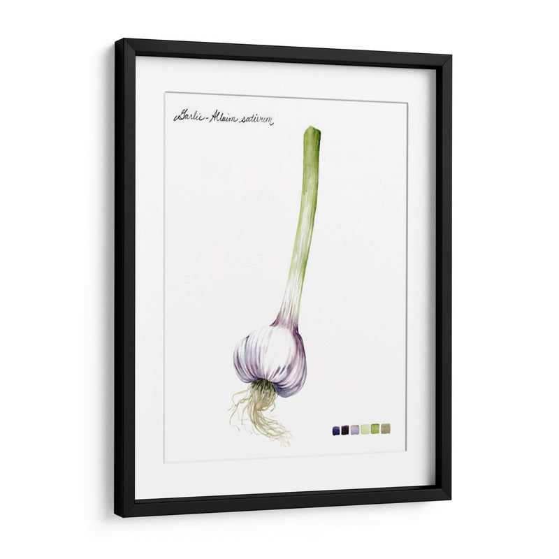 Vegetal Raíz I - Grace Popp | Cuadro decorativo de Canvas Lab