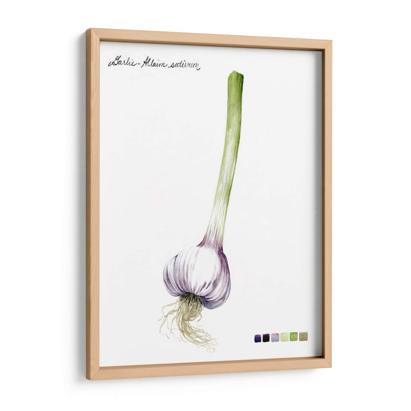Vegetal Raíz I - Grace Popp | Cuadro decorativo de Canvas Lab