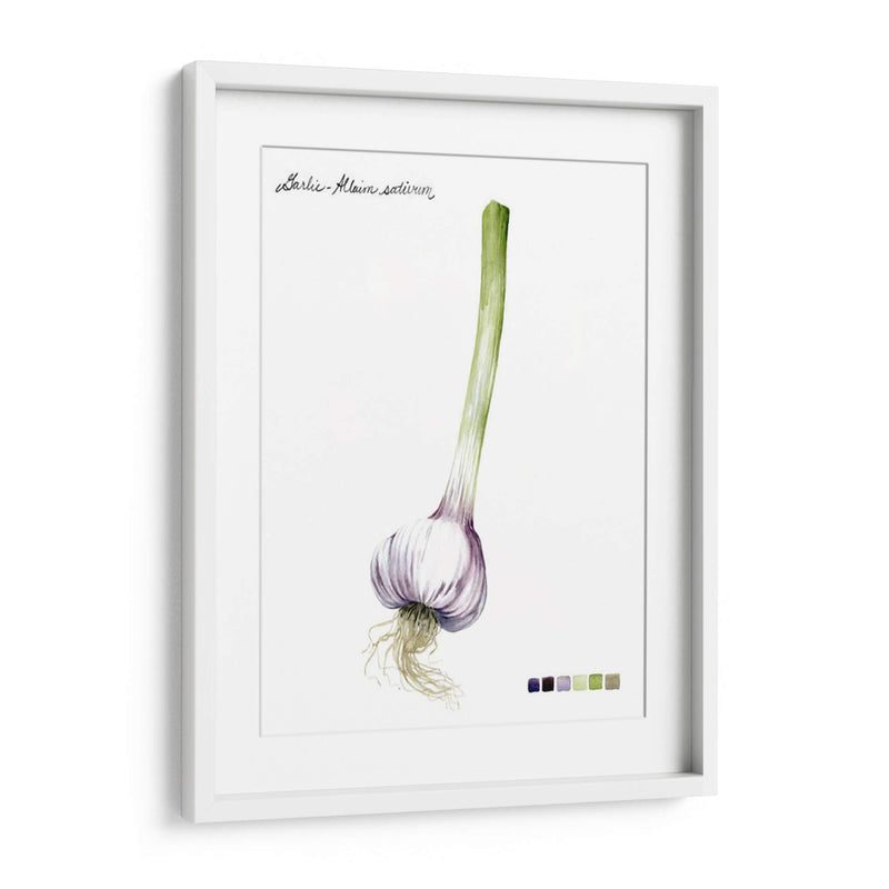 Vegetal Raíz I - Grace Popp | Cuadro decorativo de Canvas Lab