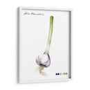 Vegetal Raíz I - Grace Popp | Cuadro decorativo de Canvas Lab