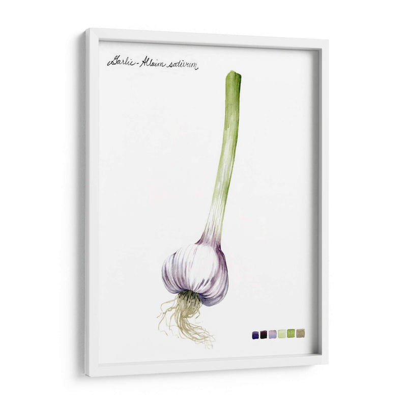 Vegetal Raíz I - Grace Popp | Cuadro decorativo de Canvas Lab