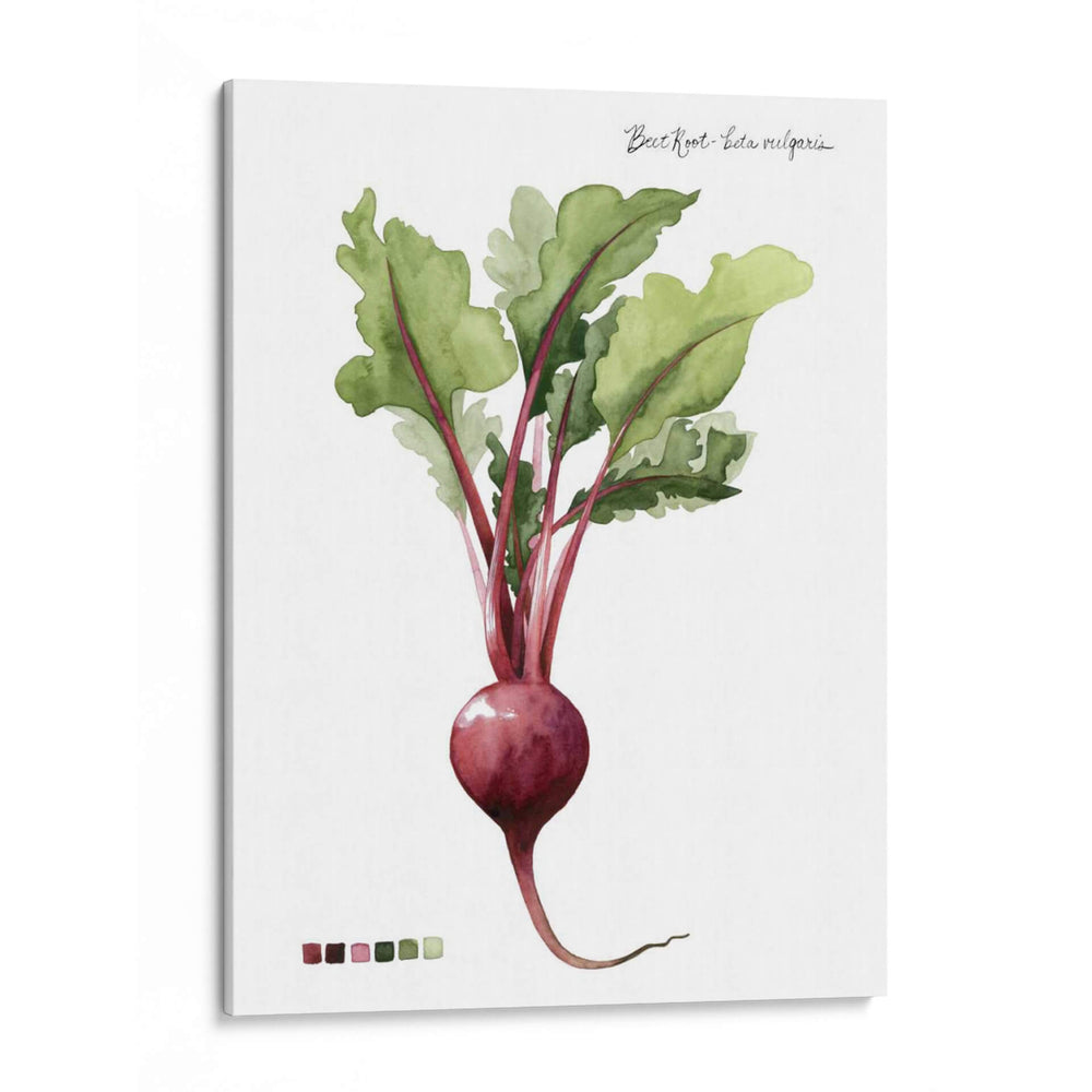 Vegetal Raíz Ii - Grace Popp | Cuadro decorativo de Canvas Lab