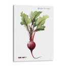 Vegetal Raíz Ii - Grace Popp | Cuadro decorativo de Canvas Lab