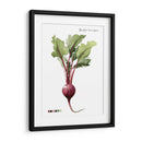 Vegetal Raíz Ii - Grace Popp | Cuadro decorativo de Canvas Lab