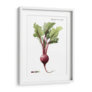 Vegetal Raíz Ii - Grace Popp | Cuadro decorativo de Canvas Lab