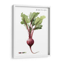 Vegetal Raíz Ii - Grace Popp | Cuadro decorativo de Canvas Lab