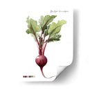 Vegetal Raíz Ii - Grace Popp | Cuadro decorativo de Canvas Lab