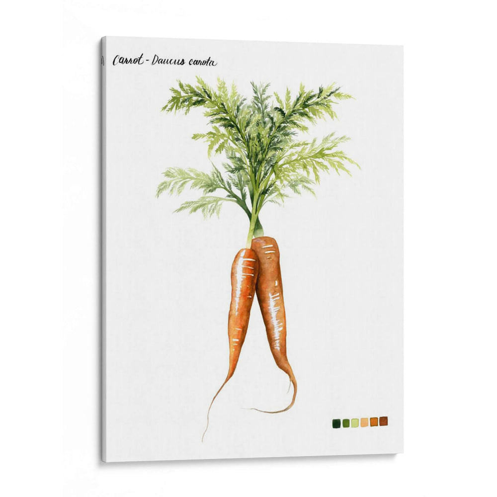 Vegetal Raíz Iii - Grace Popp | Cuadro decorativo de Canvas Lab
