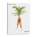 Vegetal Raíz Iii - Grace Popp | Cuadro decorativo de Canvas Lab