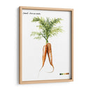 Vegetal Raíz Iii - Grace Popp | Cuadro decorativo de Canvas Lab